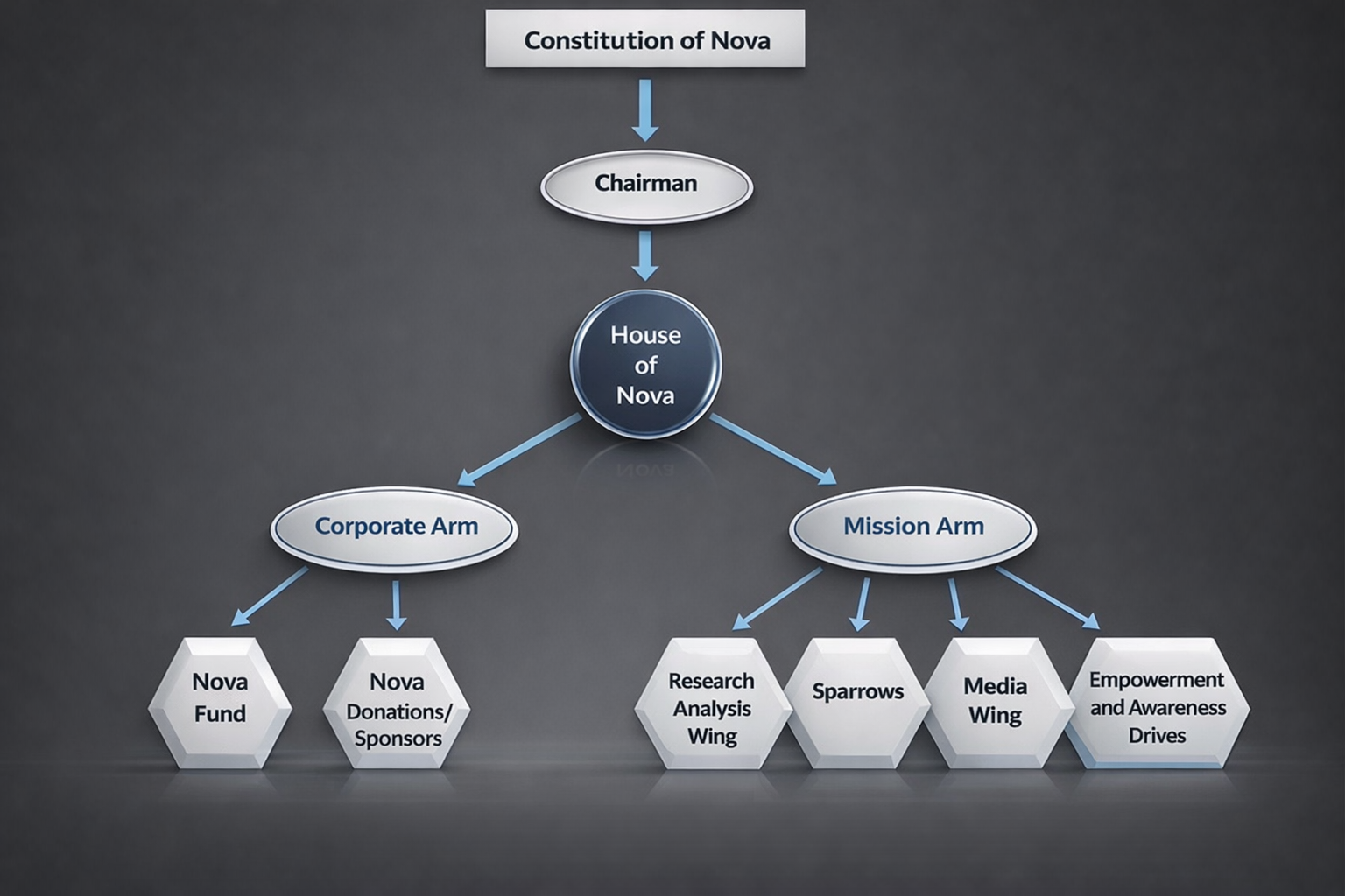 NOVA organizational structure hierarchy chart showing Constitution of Nova at the top, followed by Chairman, House of Nova, and two divisions Corporate Arm and Mission Arm with sub-units Nova Fund, Donations and Sponsors, Research and Analysis Wing, Sparrows, Media Wing, and Empowerment and Awareness Drives